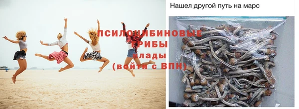 амфетамин Алексин