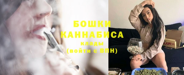 сатива Снежинск