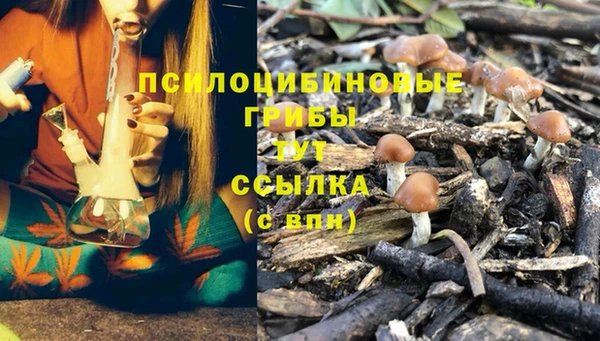 прущая мука Абинск