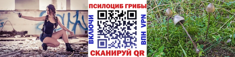 что такое   Богородицк  Галлюциногенные грибы MAGIC MUSHROOMS 
