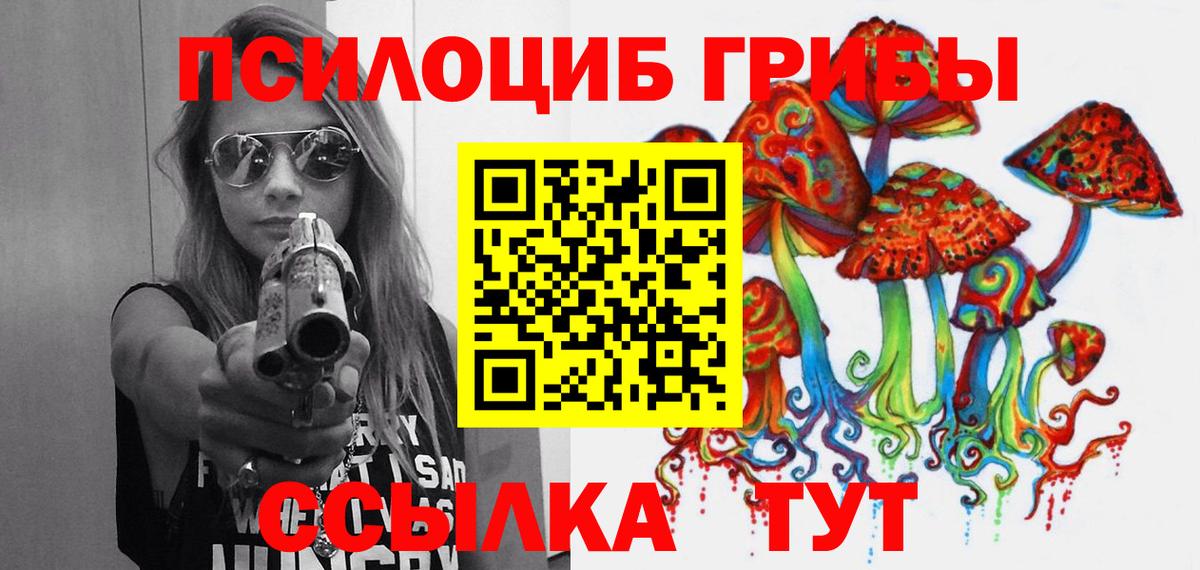 Богородицк  Галлюциногенные грибы мицелий  Вход с VPN 
